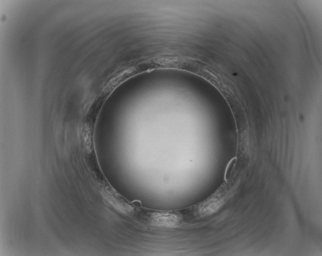 X0000084050234200702161515