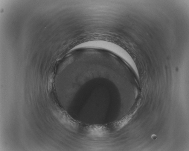 X0000084050235200702161515