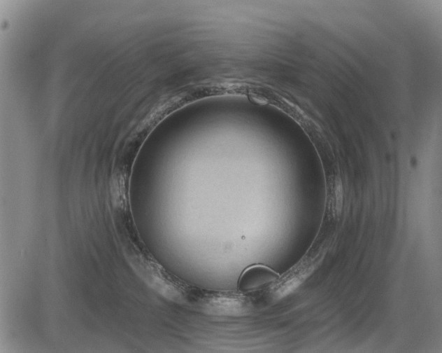 X0000084050236200702161515