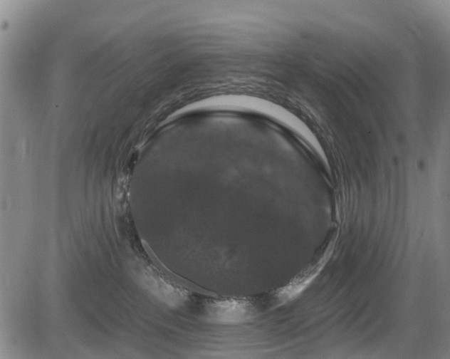 X0000084050237200702161515