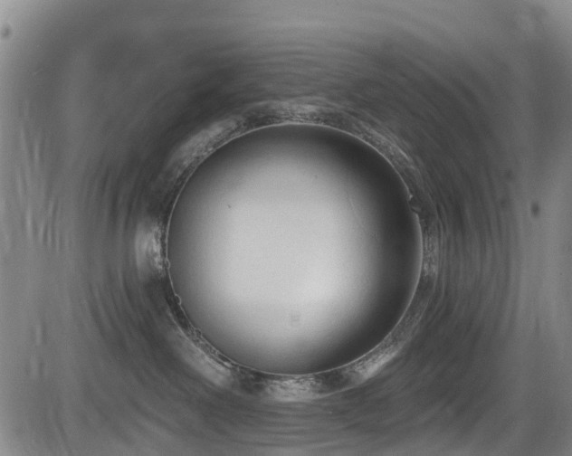 X0000084050238200702161515