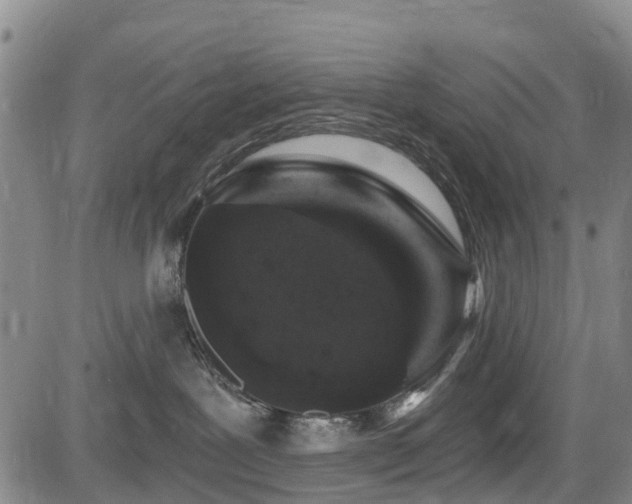 X0000084050239200702161515