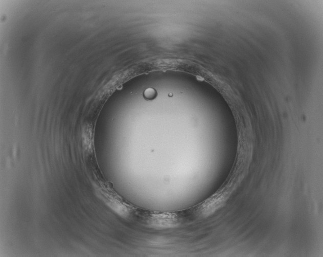 X0000084050240200702161515