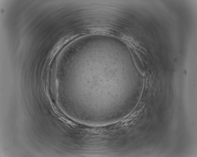 X0000084050241200702161514