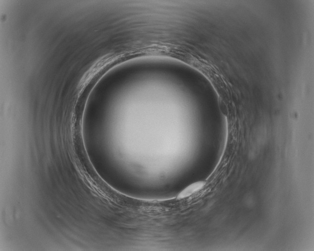 X0000084050242200702161514