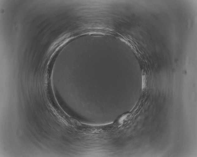 X0000084050243200702161514