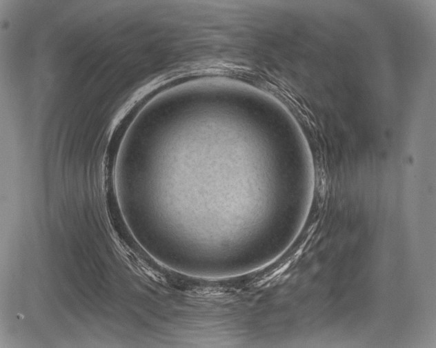 X0000084050244200702161514