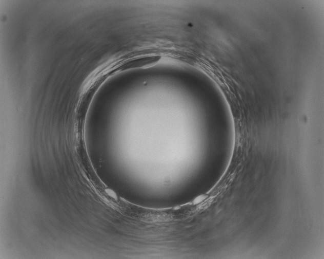 X0000084050245200702161514