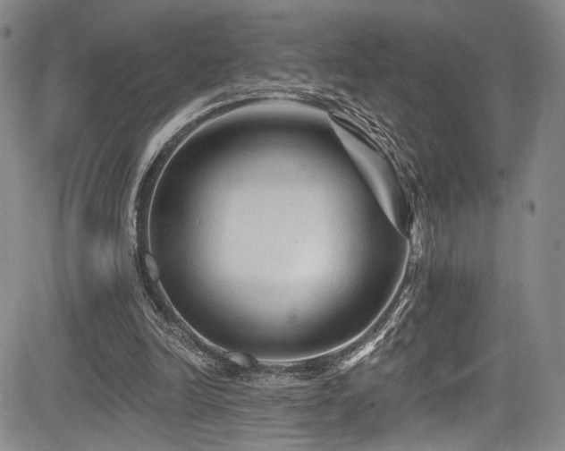 X0000084050246200702161514