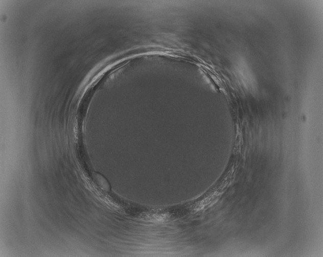 X0000084050247200702161514