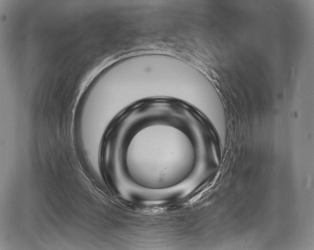 X0000084050248200702161514