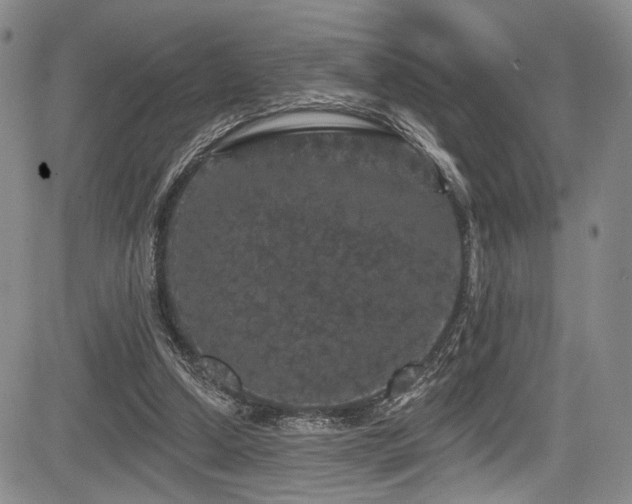 X0000084050250200702161514