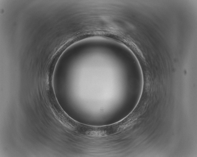 X0000084050251200702161514