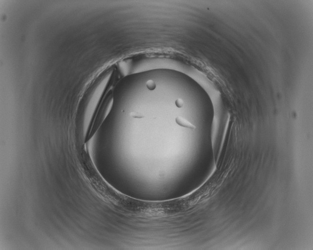 X0000084050252200702161514