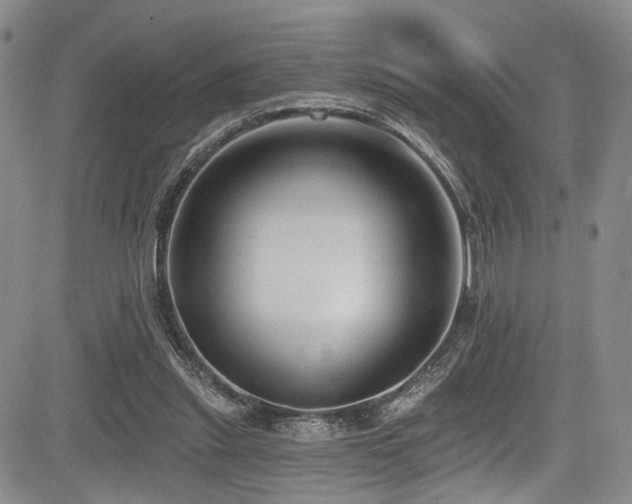 X0000084050253200702161514