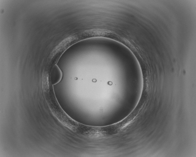 X0000084050254200702161514