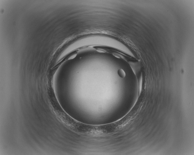 X0000084050256200702161514