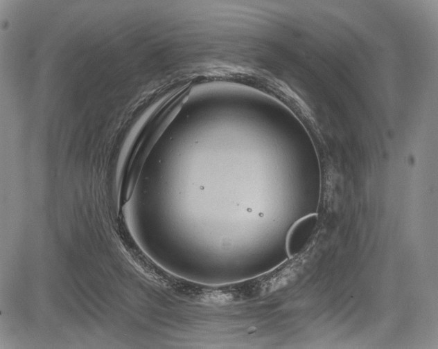 X0000084050257200702161514