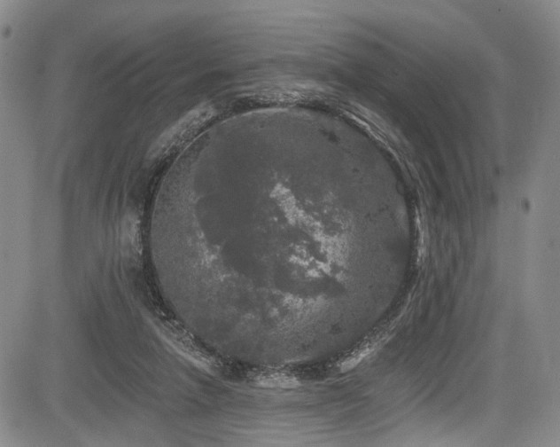 X0000084050258200702161514