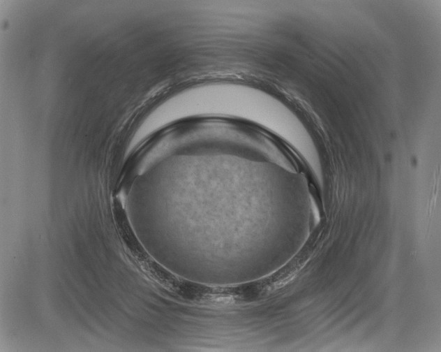 X0000084050260200702161514