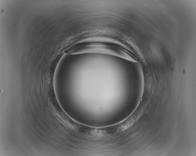 X0000084050261200702161514