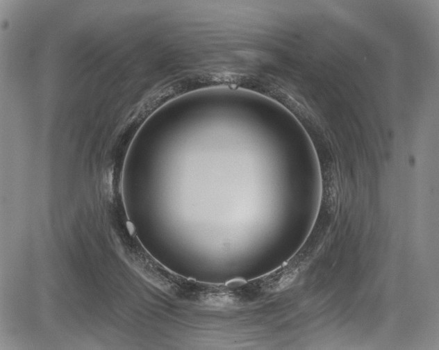 X0000084050262200702161514