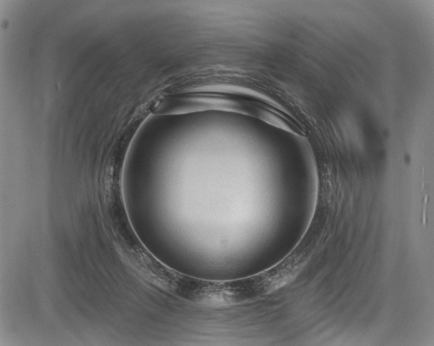 X0000084050263200702161514