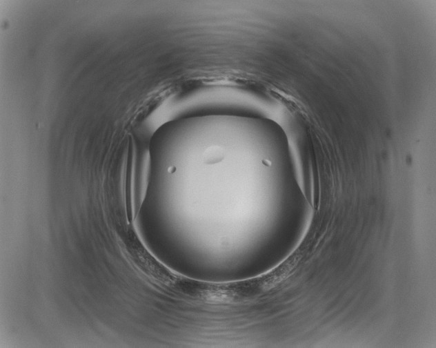 X0000084050264200702161514