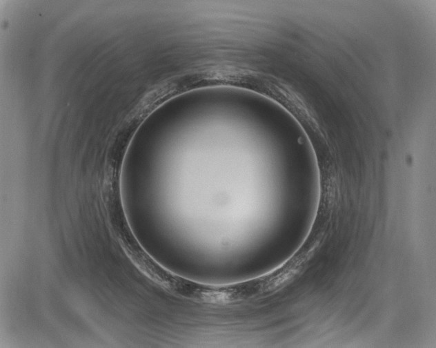 X0000084050265200702161514