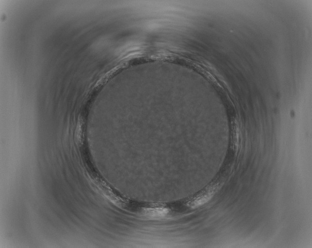 X0000084050266200702161514