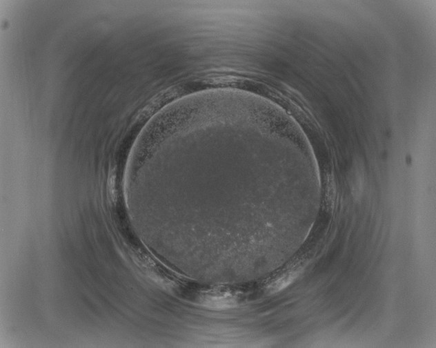 X0000084050267200702161514