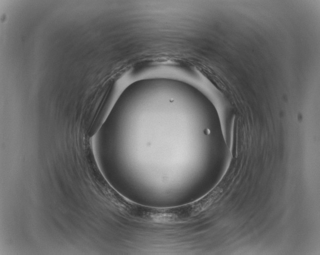 X0000084050268200702161514