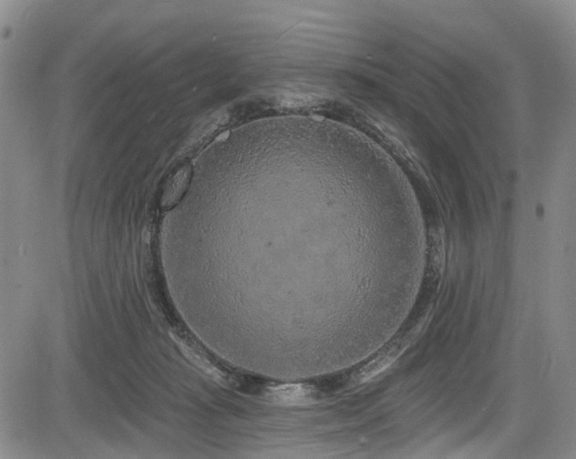 X0000084050269200702161514