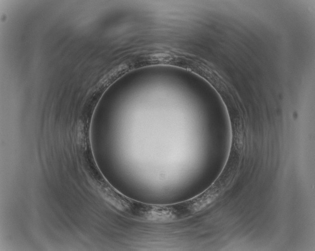 X0000084050270200702161514