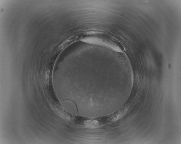 X0000084050271200702161514