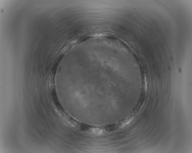 X0000084050272200702161514