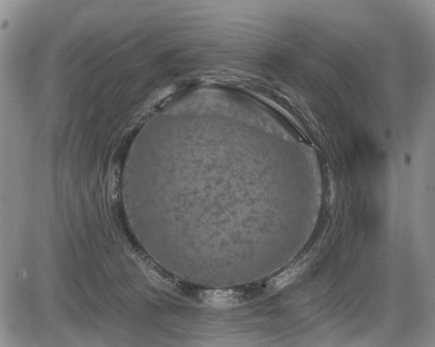 X0000084050273200702161514