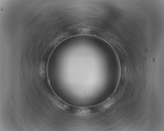 X0000084050274200702161514