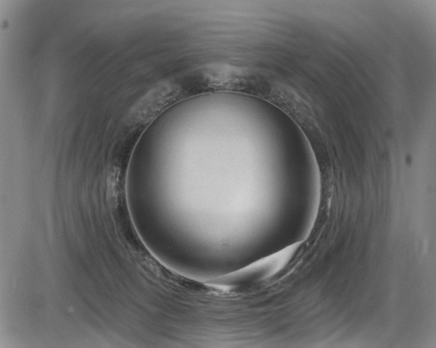 X0000084050275200702161514