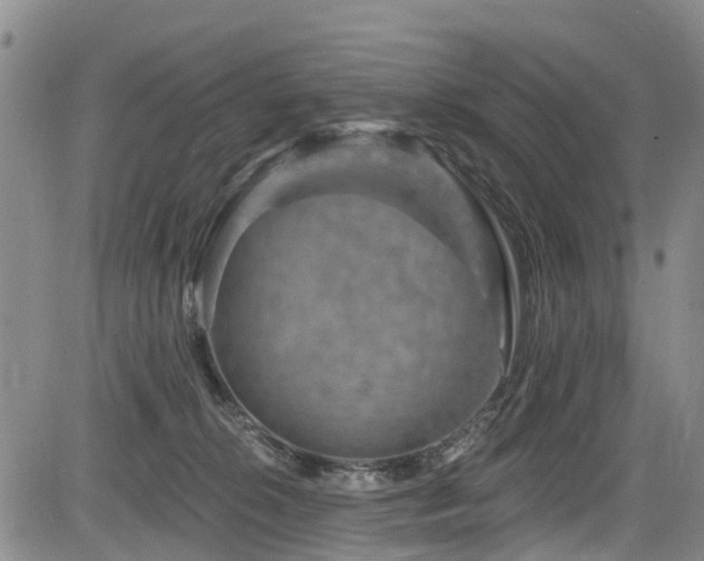 X0000084050276200702161514