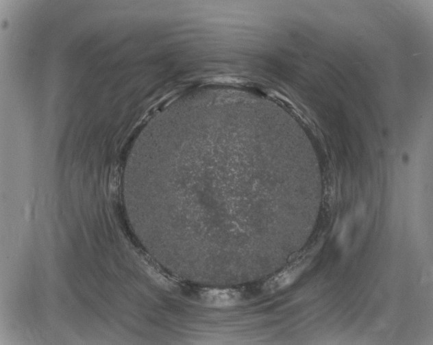 X0000084050277200702161514