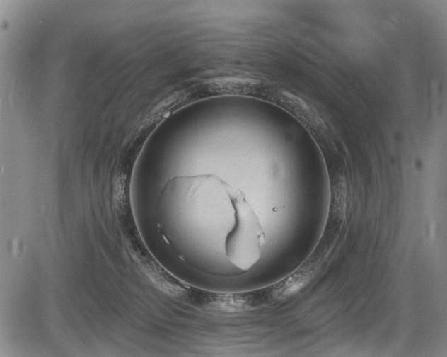 X0000084050278200702161514