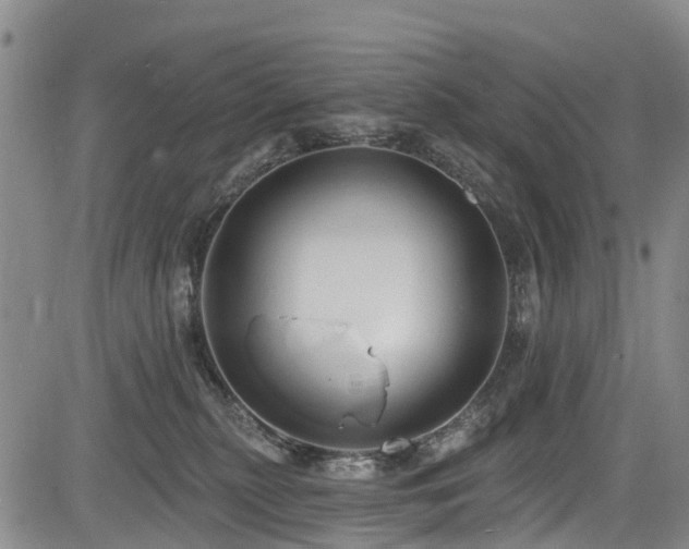 X0000084050279200702161514