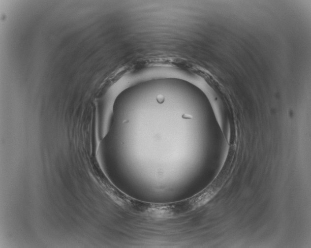 X0000084050280200702161514