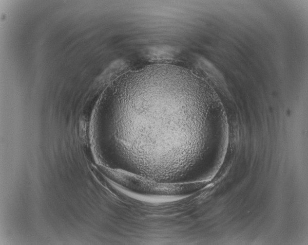 X0000084050281200702161514