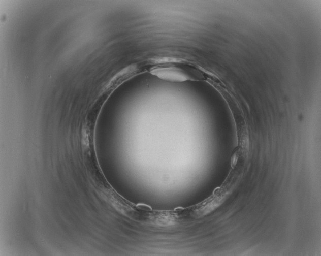 X0000084050282200702161514