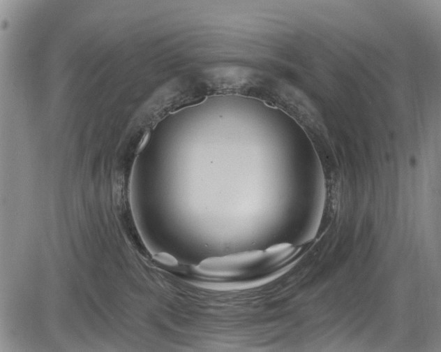 X0000084050283200702161514