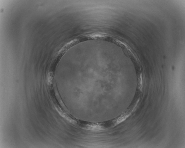 X0000084050284200702161514