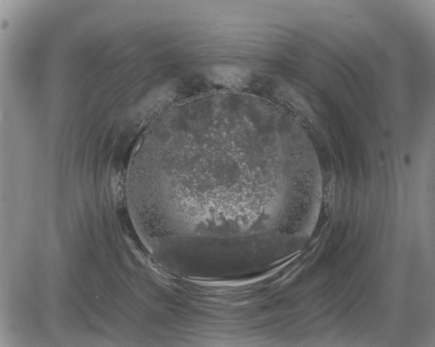 X0000084050285200702161514