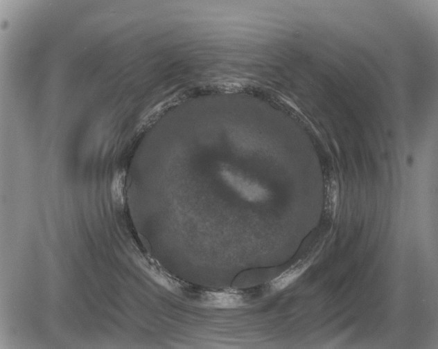 X0000084050286200702161514